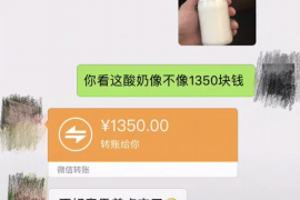 南郑如果欠债的人消失了怎么查找，专业讨债公司的找人方法