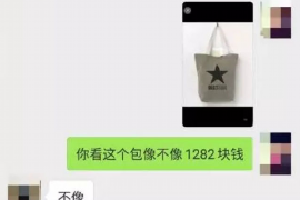 南郑对付老赖：刘小姐被老赖拖欠货款